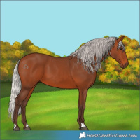 Horse Color:Silver Brown 