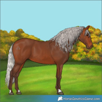 Horse Color:Silver Brown 