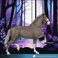 Horse Color:Silver Black 