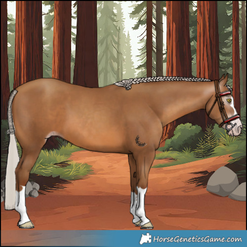 Horse Color:Gray Silver Sable Champagne