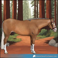 Horse Color:Gray Silver Sable Champagne 