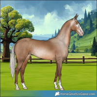 Horse Color:Gray Silver Sable Champagne 
