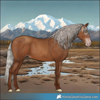 Horse Color:Gray Silver Sable Champagne 