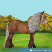 Horse Color:Gray Silver Sable Champagne