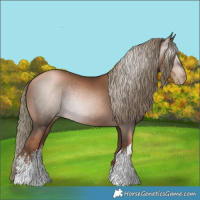 Horse Color:Gray White Spotted Liver Chestnut Pearl Mushroom