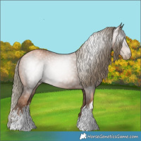 Horse Color:Gray White Spotted Liver Chestnut Pearl Mushroom 