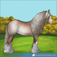 Horse Color:Gray White Spotted Liver Chestnut Pearl Mushroom