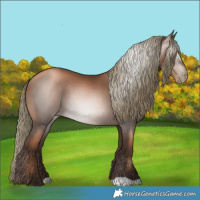 Horse Color:Gray Liver Chestnut Pearl Mushroom