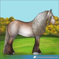 Horse Color:Gray Liver Chestnut Pearl Mushroom
