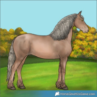 Horse Color:Liver Chestnut Pearl Mushroom 