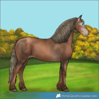 Horse Color:Gray Liver Chestnut Pearl Mushroom