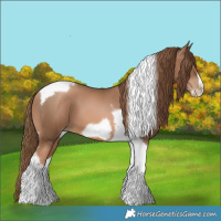 Horse Color:Liver Chestnut Pearl Tobiano Frame 