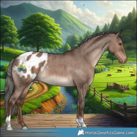 Horse Color:Liver Red Dun Mushroom Appaloosa Brindle