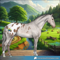 Horse Color:Liver Red Dun Mushroom Appaloosa Brindle