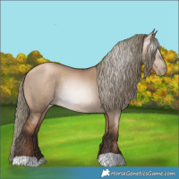 Horse Color:Gray Liver Red Dun Pearl Mushroom Rabicano
