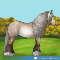 Horse Color:Gray Liver Red Dun Pearl Mushroom Rabicano