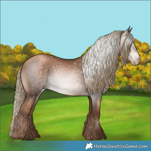 Horse Color:Gray Liver Chestnut Pearl Mushroom 