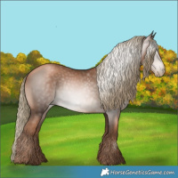 Horse Color:Gray Liver Chestnut Pearl Mushroom