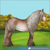 Horse Color:Gray Liver Chestnut Pearl Mushroom