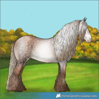 Horse Color:Gray Liver Chestnut Pearl Mushroom