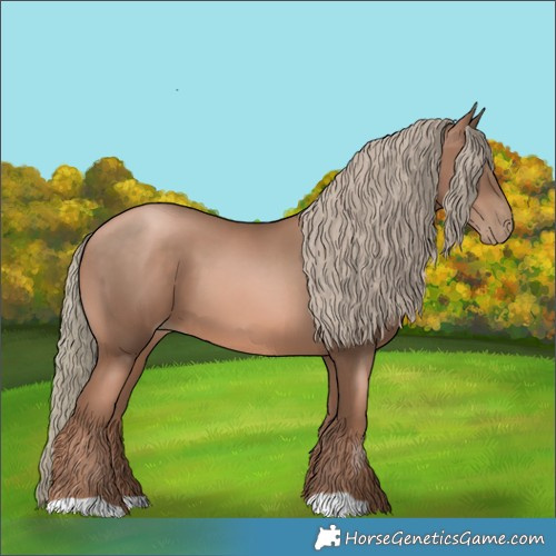 Horse Color:Liver Chestnut Pearl Mushroom