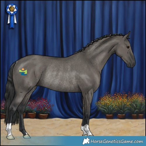 Horse Color:Grullo Rabicano 
