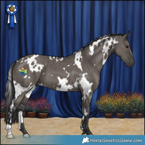 Horse Color:White Spotted Grullo Brindle 