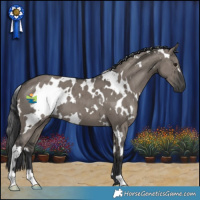 Horse Color:White Spotted Grullo Brindle 