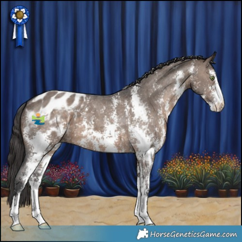 Horse Color:Brown Dun Sabino Blanket 