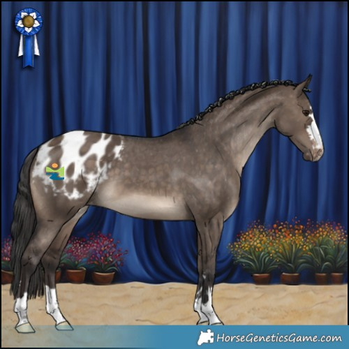 Horse Color:Brown Dun Blanket 
