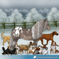 Horse Color:White Spotted Silver Black Tobiano Appaloosa 