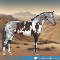 Horse Color:White Spotted Brown 