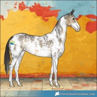 Horse Color:White Spotted Buckskin Mushroom Sabino 
