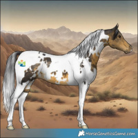 Horse Color:White Spotted Buckskin Tobiano 