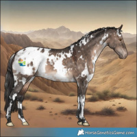 Horse Color:White Spotted Brown Dun Mushroom Appaloosa 