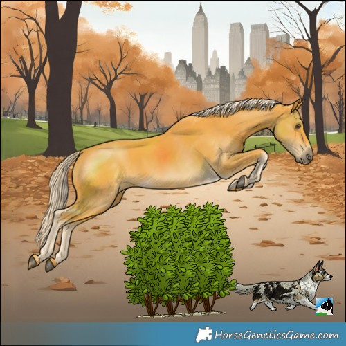 Horse Color:Palomino