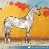Horse Color:White Spotted Silver Brown Dun 