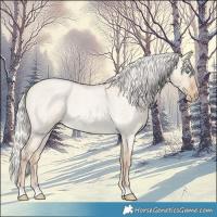 Horse Color:Silver Perlino Roan Dun 