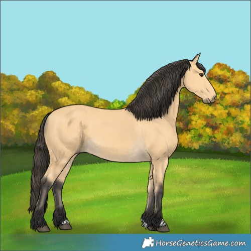 Horse Color:Buckskin 