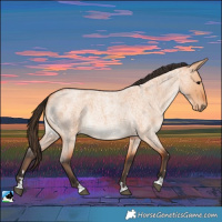 Horse Color:Bay Roan Dun Rabicano