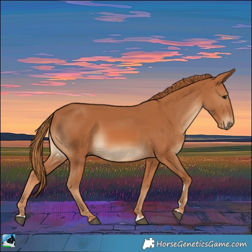 Horse Color:Chestnut Rabicano 