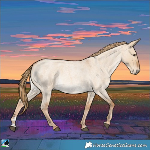 Horse Color:Red Dun Roan Rabicano 