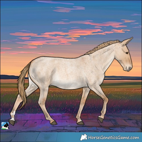 Horse Color:Red Dun Roan Rabicano 