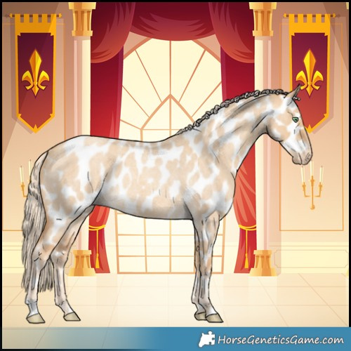 Horse Color:Gold Cream Champagne Roan Dun Appaloosa 