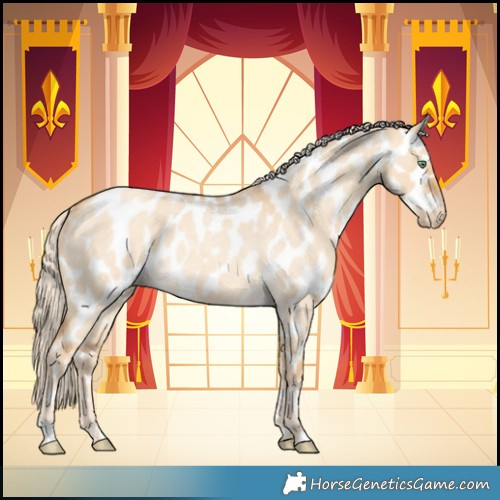 Horse Color:Gold Cream Champagne Roan Dun Near Leopard