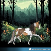 Horse Color:Buckskin Splash Tobiano