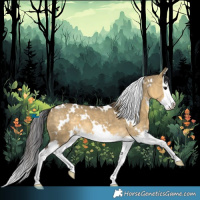Horse Color:White Spotted Buckskin Dun Splash