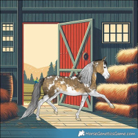 Horse Color:White Spotted Buckskin Dun Splash