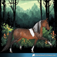 Horse Color:Bay Tobiano 