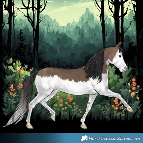 Horse Color:Brown Dun Splash 